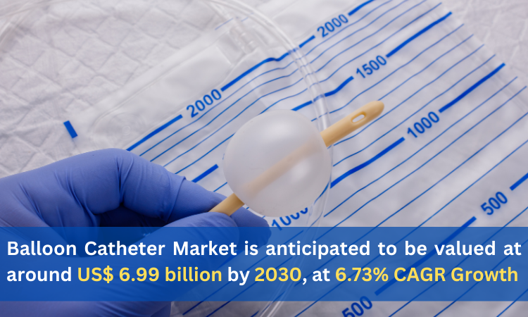 Balloon Catheter Market is anticipated to be valued at around US$ 6.99 billion by 2030