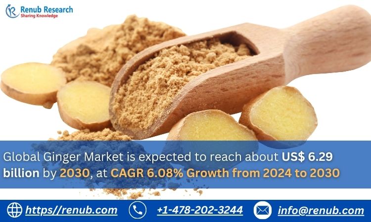 Global Ginger Market, Size, Forecast 2024-2030