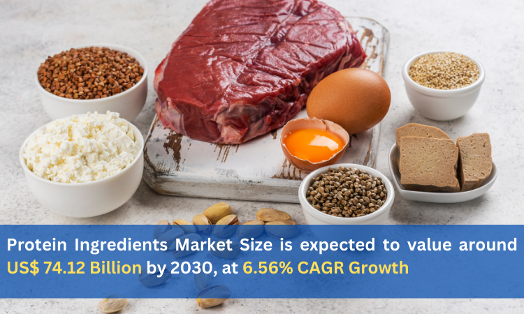 Protein Ingredients Market Size is expected to value around US$ 74.12 Billion by 2030