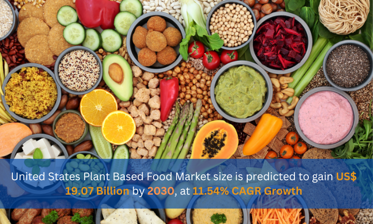 United States Plant Based Food Market size is predicted to gain US$ 19.07 Billion by 2030