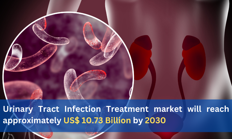 Urinary Tract Infection Treatment market will reach approximately US$ 10.73 Billion by 2030