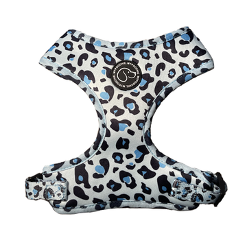 How Ergonomic Pet Harnesses Can Improve Your Dog’s Health